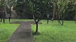 When rainy weather comes, cat-loving Turks put cat houses for ho