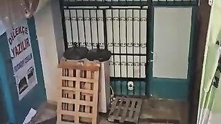 My friend who allows stray cats to shelter in the printing house