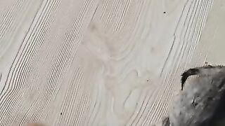 After the kittens I rescued ate food, they all slept together in the same bed.