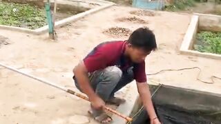 RESIKO Budidaya Lele system JARING KERAMBA❗Begini cara MENGATASINYA