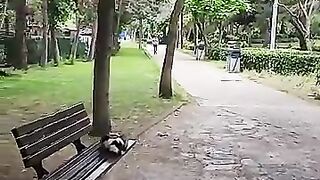 I have fulfilled the dreams of 3 tiny kittens who dream of food and love in their sleep.