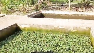 Dengan TEKNIK ini kita pasti bisa TEBAR PADAT