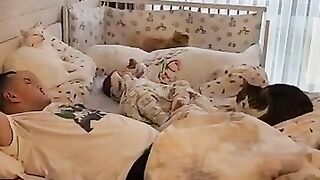 Waking up in the most pleasant bed in the world with 3 cats and 1 baby.
