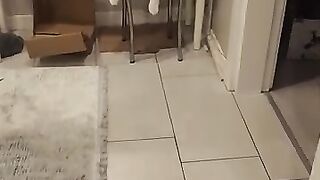 The day I rescued them, they were all tiny cats, but now