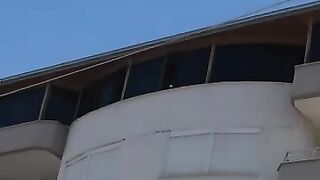 You can't really have saved the cat's life unless you give it a new life. Rescue after earthquake