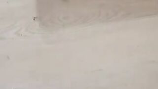 A house where only cats live. Real Love & Cat Love