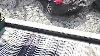 When the winter ended, the cats began to enjoy the balcony.