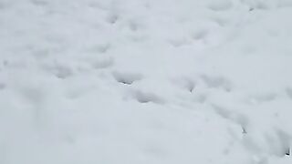 When you follow the footprints on the snow, you will see happy stray cats.