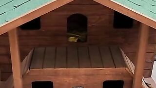 I can train cats to eat without fighting, but never humans.