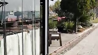 Istanbul stray cats can sleep wherever they want. For exa