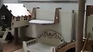 To design one room of the house as a shelter for stray cats. Adorable Paws