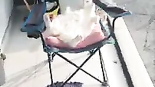 I thought she wanted me to caress her belly. Cute Cats