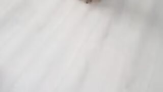 The best gift for the cat Pirate. Cardboard box.