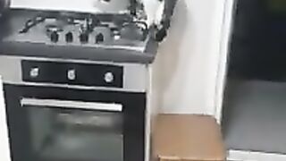 Without Water and Without Chemicals, How To Clean Dirty Gas Stove. Adopt A Cat