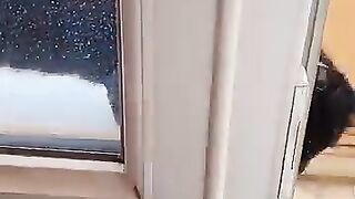 A black cat at your door will definitely bring you luck.