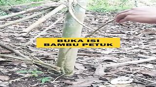 makhluk aneh di dalam bambu