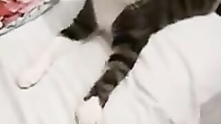 I can't find a place to sleep in my own bed.