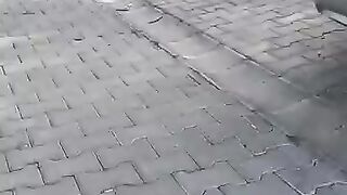 Timid cat talks to me with its cute meow