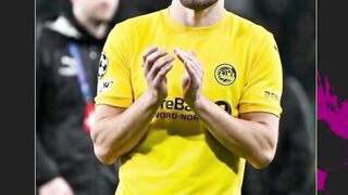 Kuda hitam Champion league