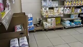 Cute cat lying in the supermarket without paying attention to
