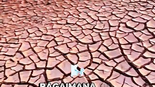 Bagaimana Air Menghidupkan Kembali Tanah yang Mati #tanah #air #life