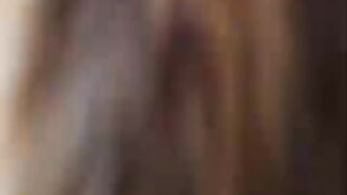 Cat purrs loudly to my camera