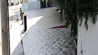 Birds make fun of cat trying to hunt