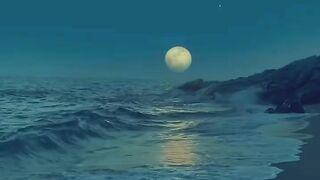 The Beauty of Night ???? | Calm & Relaxing