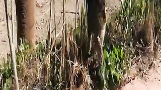 Tabby cat on the beach is so cute