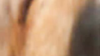 Cute cat rubbing and purring on my camera