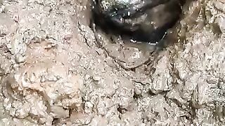 Looking for a fish or eel.. Thanks for watching..!! 77