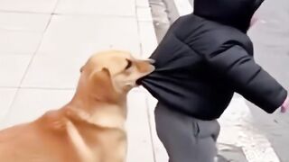 Don't watch if you're afraid