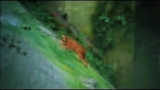 Топ моменты в играх