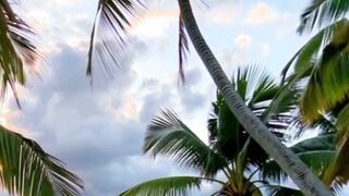 Beautiful nature 279