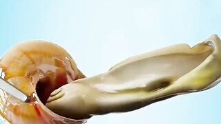 2 Makanan Aneh, Tapi Banyak Peminatnya ????