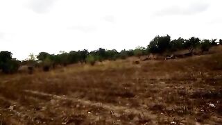 War in Benue Nigeria