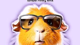 JAUH KO PERGI STYLE KONDANG