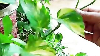 Allah wants to Make you Stronger