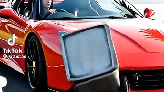 Cat and girl save the fish