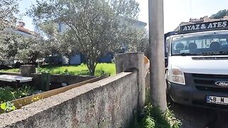 We befriended a stray cat that hesitated to approach us