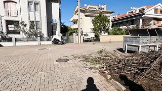 Orange cat came running towards us from a distance with great enthusiasm