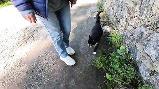 Dali the cat started purring as soon as I touched her