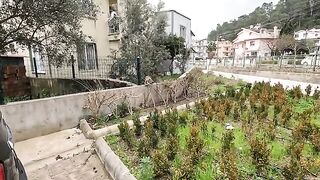 A stray cat came running towards us, meowing melodically