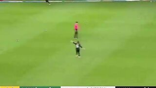 South Africa vs New Zealand 3rd T20 match power Play highlights