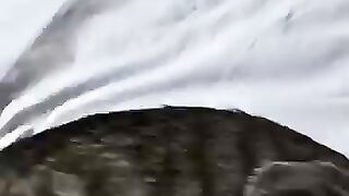 A mischievous tabby cat