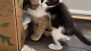 They love each other very much