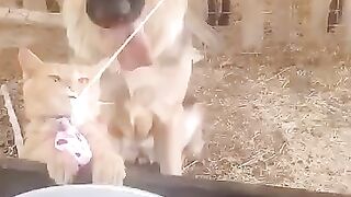 They are waiting in line for milk