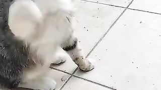 I'm having a good time with my cat