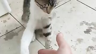 We're full, now it's time for fun.