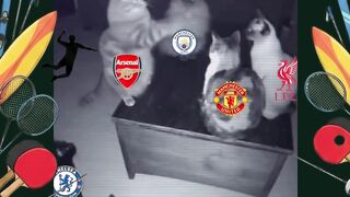 POV: Lu lagi di tahun 2026 dan dunia lagi nggak baik-baik saja karena King Emyu cuma kalah sekali semusim.